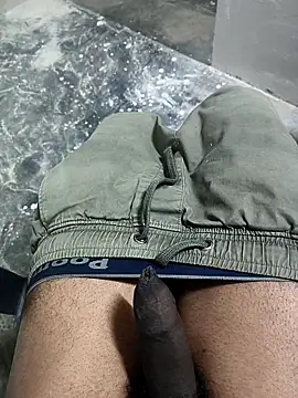 omni 333 online show from January 2026 04:33:01 PM