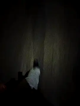 dominationmybigdick online show from October 2025 09:30:01 PM