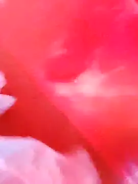 dominationmybigdick online show from December 2025 09:51:01 AM