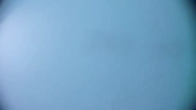 Ashlyaurora online show from March 2025 07:40:02 AM