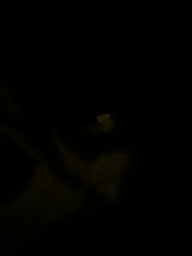 Snapshot of sark0606 chatting on February 2025 04:58:02 PM sark0606 online show from February 2025 04:58:02 PM