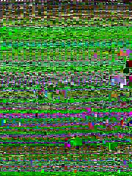 Uncleuncutmushroom online show from July 2026 07:57:01 AM