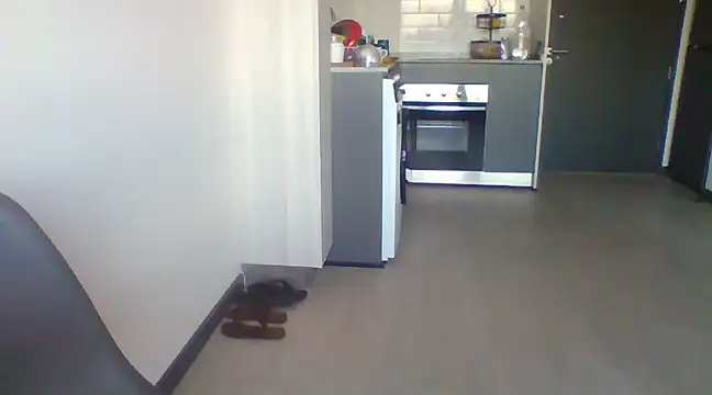 tu la humilde online show from February 2025 11:15:02 PM