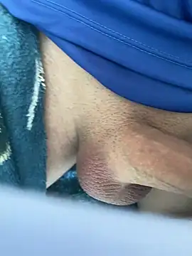 obranquinho21cm online show from March 2025 11:10:02 AM