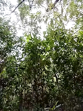 Pussy-Hairy-Horny online show from February 2025 09:59:01 PM