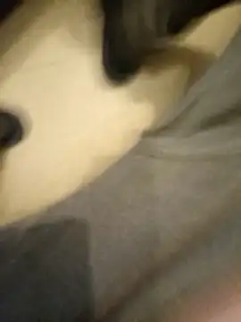 Snapshot of flo000031 chatting on January 2026 03:28:02 PM flo000031 online show from January 2026 03:28:02 PM