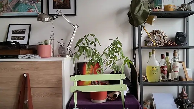 MikymikeBBWD online show from November 2025 11:43:01 AM