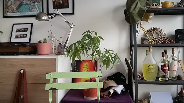 MikymikeBBWD online show from November 2025 01:54:02 PM