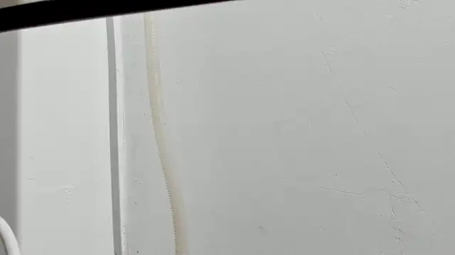 Aleshkastone online show from January 2026 03:39:01 PM