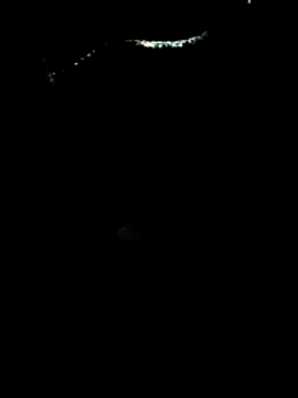 Loly2025 online show from March 2026 12:10:02 PM