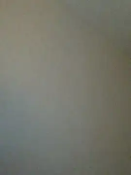 Dahiana Giil online show from October 2025 06:26:02 AM