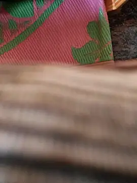 cocktony online show from January 2026 09:36:02 AM