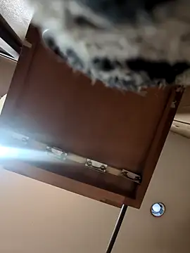 Snapshot of QueenM3 chatting on March 2025 12:44:01 AM QueenM3 online show from March 2025 12:44:01 AM