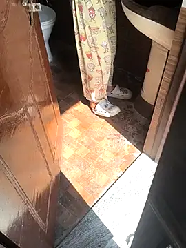 Snapshot of HorNy_Bro_Sis chatting on March 2026 07:48:02 AM HorNy Bro Sis online show from March 2026 07:48:02 AM