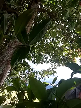 Mycansonhot online show from April 2026 07:18:02 PM