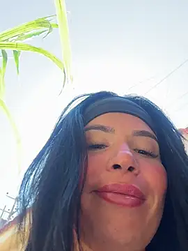 segb online show from March 2026 12:43:02 PM