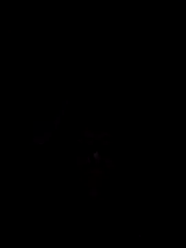 Nidge251 online show from November 2025 05:28:02 AM