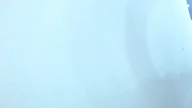 Snapshot of sebastian_colle chatting on February 2025 03:08:02 PM sebastian colle online show from February 2025 03:08:02 PM
