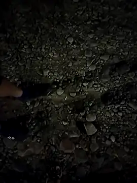 Kassie Greys online show from March 2025 03:33:01 AM