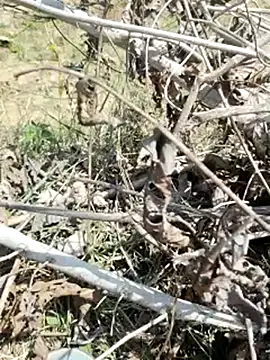 cute1gfbf online show from March 2025 07:05:02 AM