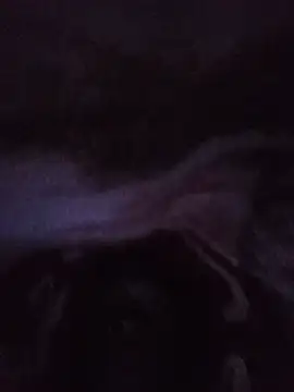 Snapshot of lilpip chatting on July 2026 10:50:02 PM lilpip online show from July 2026 10:50:02 PM