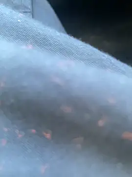 Snapshot of daniel21p chatting on February 2025 03:25:02 PM daniel21p online show from February 2025 03:25:02 PM