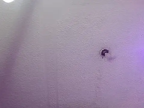 Snapshot of Pandora_9666 chatting on October 2025 03:25:01 AM Pandora 9666 online show from October 2025 03:25:01 AM