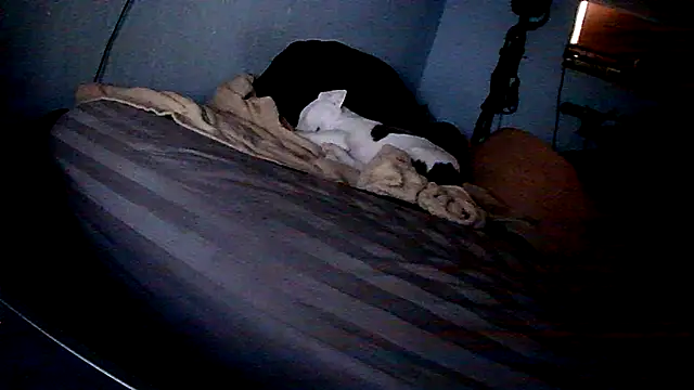 Snapshot of PornStro921 chatting on February 2026 08:25:02 PM PornStro921 online show from February 2026 08:25:02 PM