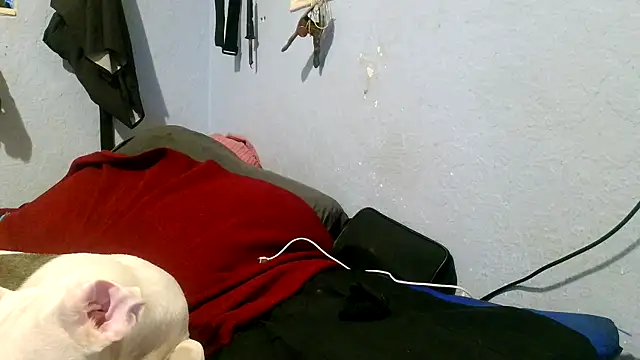 Snapshot of PornStro921 chatting on May 2026 04:02:01 PM PornStro921 online show from May 2026 04:02:01 PM