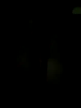 wildfun  online show from March 2025 05:42:02 PM