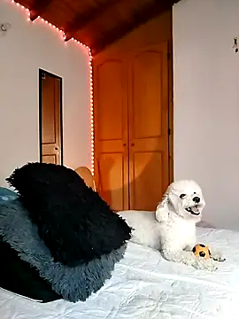 morenosiam online show from November 2025 09:36:01 PM