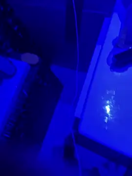 gryzoon online show from March 2026 05:12:02 AM