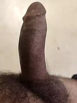 alkhabiir online show from November 2025 08:17:02 AM