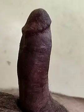 alkhabiir online show from March 2026 03:15:01 PM