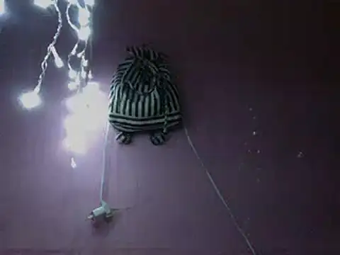 Ladyzee25 online show from April 2026 11:59:01 PM