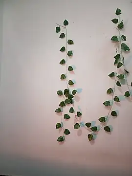 Neha-Bhabhi-Rasily online show from February 2026 11:17:01 AM