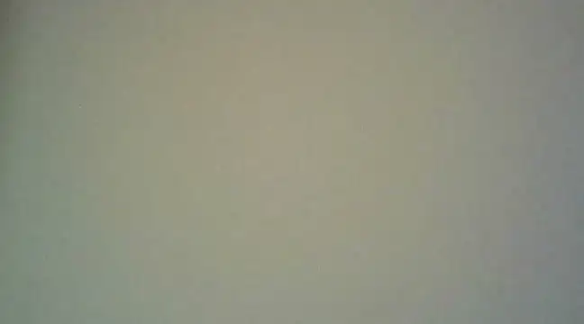 Enoch981 online show from March 2025 09:03:02 PM