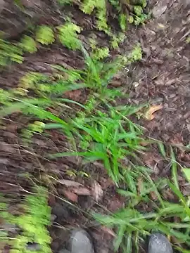 paugrosso553 online show from March 2026 07:51:02 PM