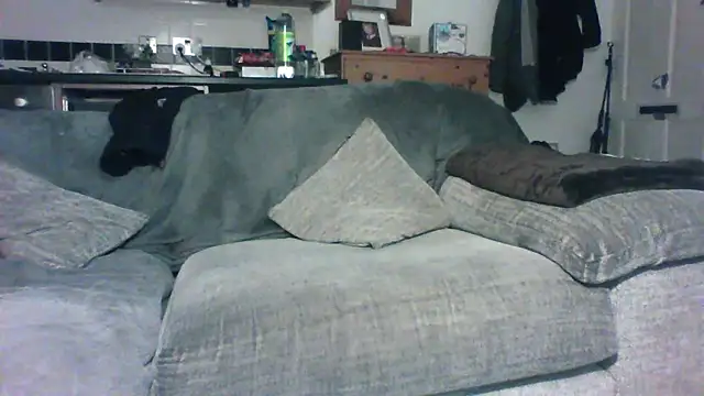 Grower and shower online show from November 2025 11:42:02 PM