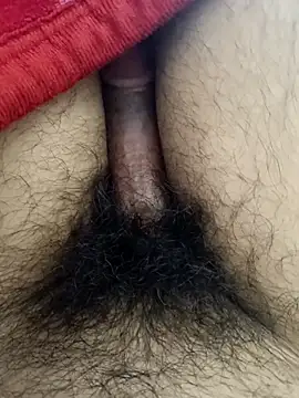 Jaipuri Boy online show from March 2025 01:39:01 AM