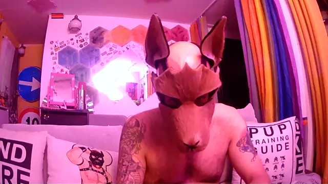 Snapshot of danix_wild_wolf chatting on May 2026 11:06:02 PM danix wild wolf online show from May 2026 11:06:02 PM