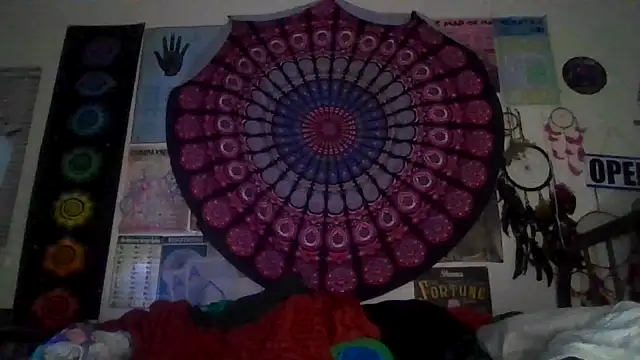 GardeniaFields online show from March 2026 09:16:01 AM