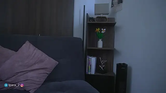 Snapshot of Te_para_2 chatting on May 2026 04:33:01 PM Te para 2 online show from May 2026 04:33:01 PM