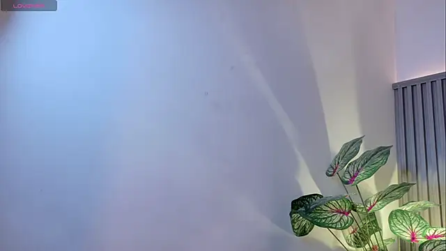 TiffanyWalk online show from November 2025 11:34:02 AM