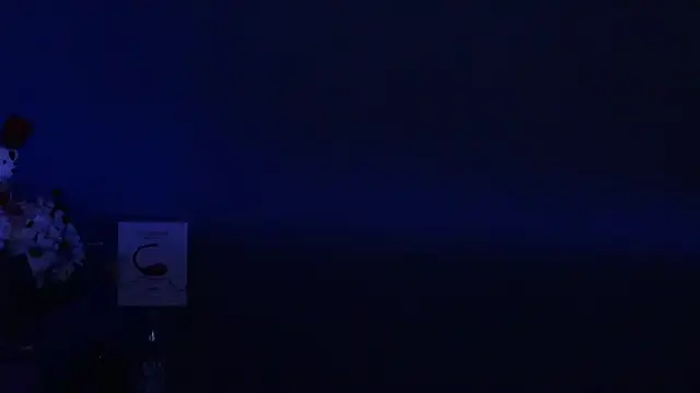 Amesthyst destiny online show from March 2025 03:20:01 AM