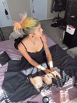 Harley cams online show from October 2025 04:08:02 PM