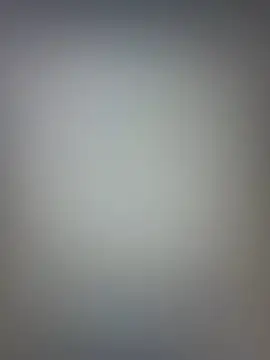 snehashreyatamil online show from February 2026 12:01:02 PM