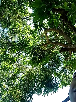 perversumm online show from September 2025 04:19:02 PM