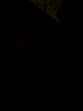 Tomassasdss online show from October 2025 07:24:02 PM