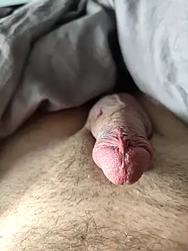 evi42 online show from March 2025 11:52:01 AM